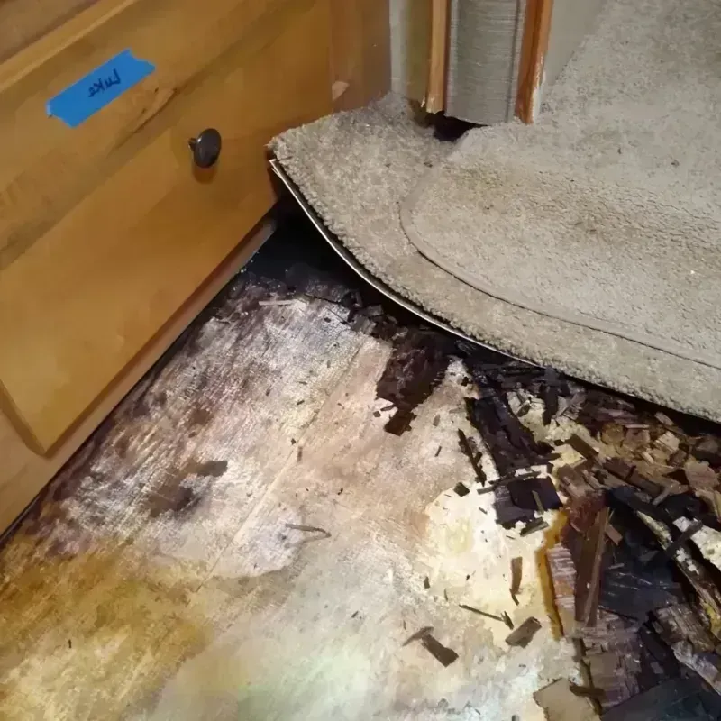 Wood Floor Water Damage in Big Bear Lake, CA